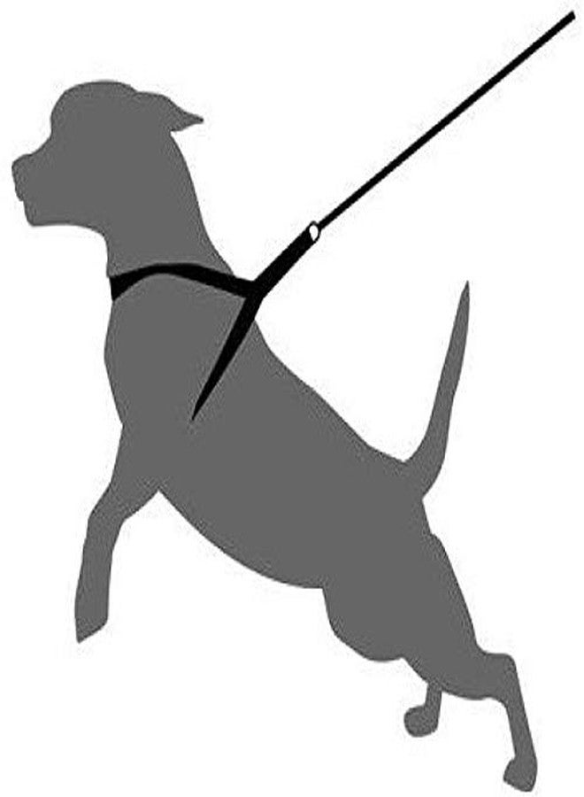 Skora Soft Padded Body Set-Leash & Harness- 0.75 - Black - Medium - Image 3